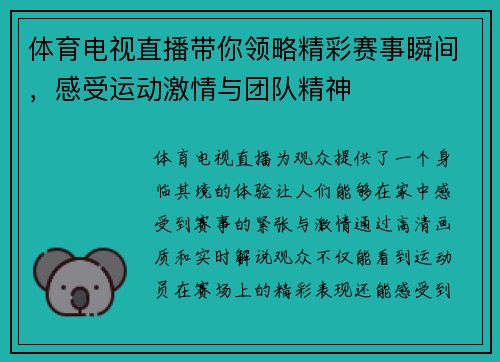 体育电视直播带你领略精彩赛事瞬间，感受运动激情与团队精神